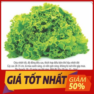 Hạt Giống Rau Xà Lách Xoăn Chịu Nhiệt Dễ Trồng 5gr