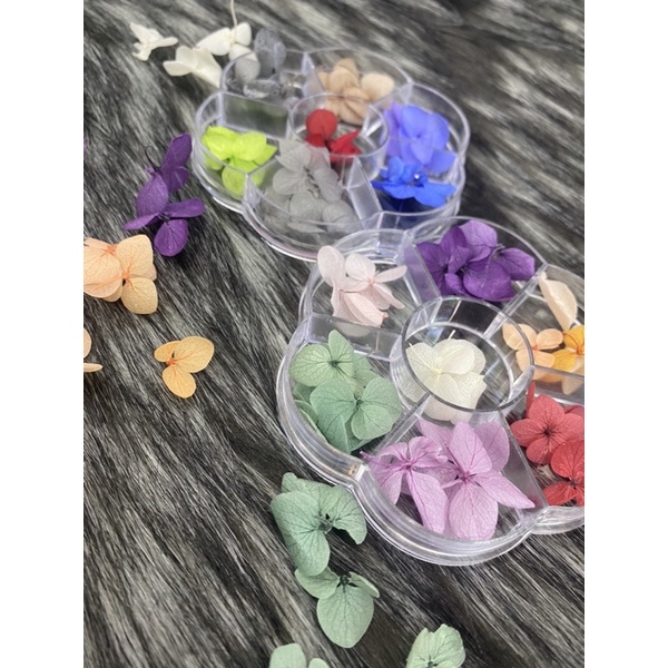 set hoa khô ẩn nail - hoa khô nhiều màu