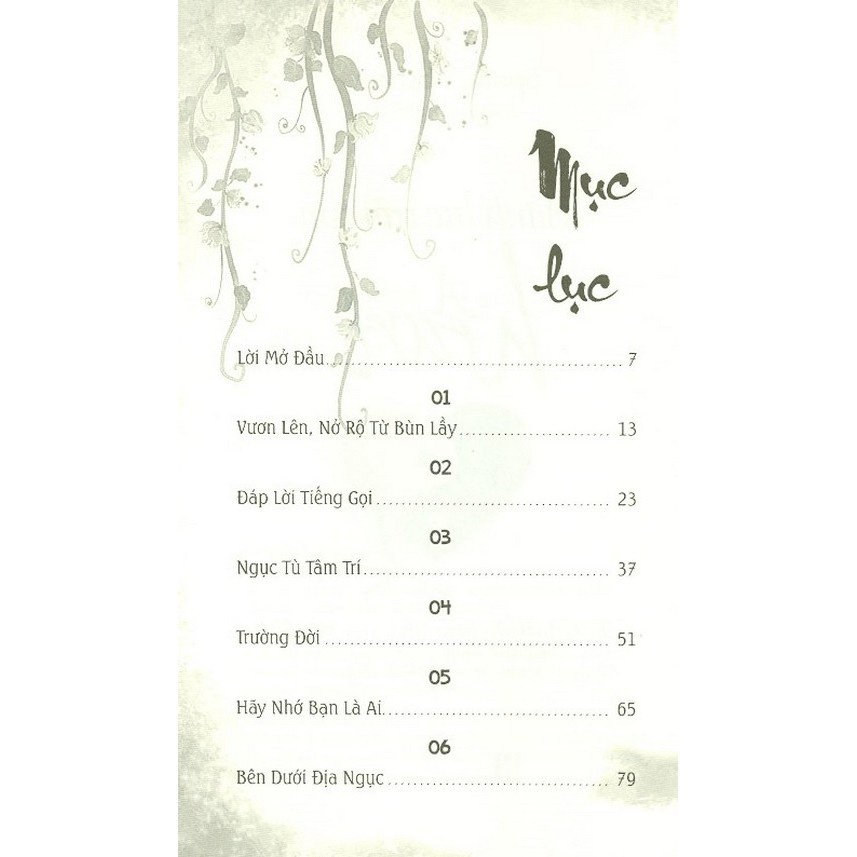 Sách - Mảnh Lực Trái Tim (Spring Washam- Văn Lang)