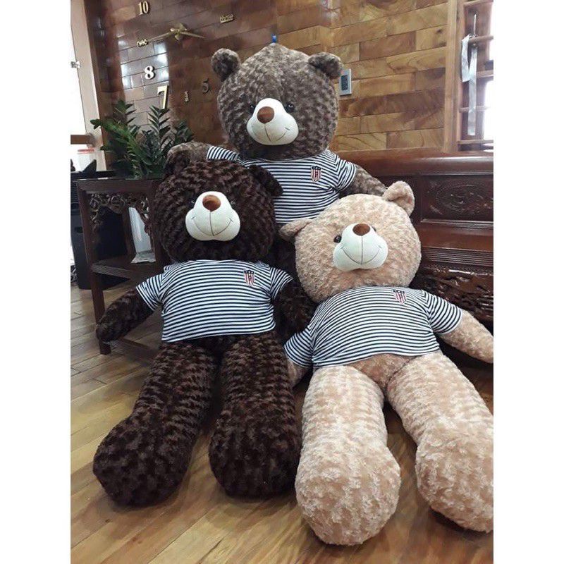 gấu bông teddy . gấu bông teddy khổng lồ . gấu bông khổng lồ 1,6,m ( có ảnh thật)