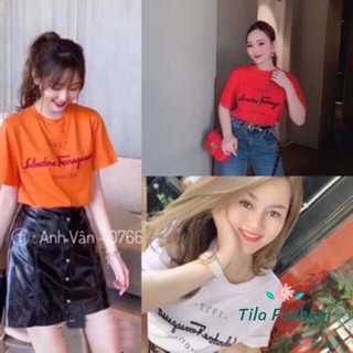 Áo Thun nữ ôm body Cotton Cao Cấp 1927 ( cotton 100%)