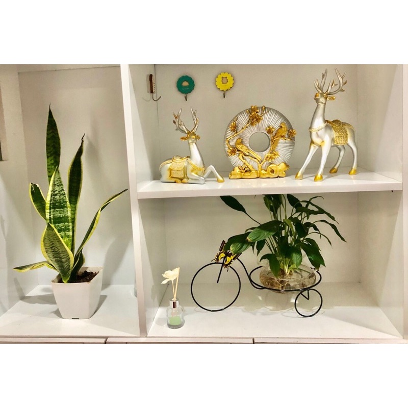 Cặp hươu may mắn và đĩa hoa đào đỏ