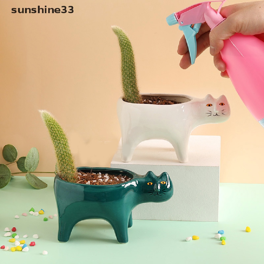Chậu Gốm Trồng Cây Mọng Nước Hình Mèo / Xương Rồng Dễ Thương