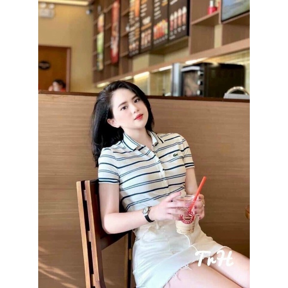 ÁO POLO KẺ LA.COS.TE NỮ HÀNG THIẾT KẾ