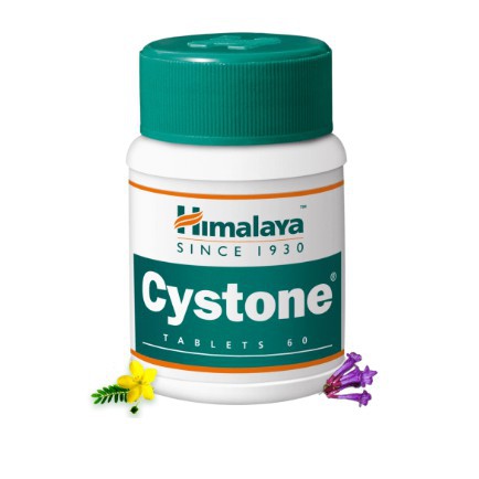 [HOT] Himalaya Cystone - Viên hỗ uống trợ Thận của Himalaya -[SẴN HÀNG]