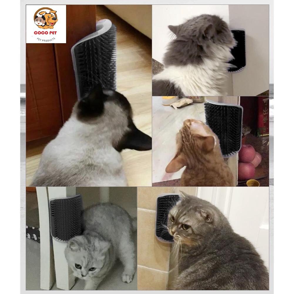 Lược Tự Chải Lông Massage Gắn Tường Cho Mèo ( Tặng 1 Gói Catnip Giúp Mèo Thư Giãn)