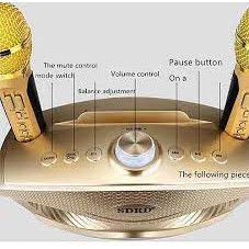 Loa karaoke bluetooth mini SD-306 loa hát karaoke đa năng,Tặng Kèm 2 Mic Không Dây - Bảo hành