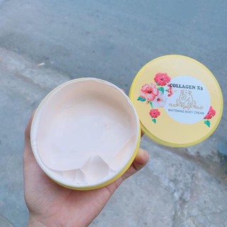 Body (collagen x3)