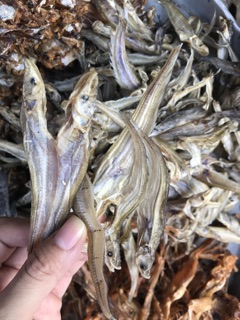Khô lóc long an 250k/kg