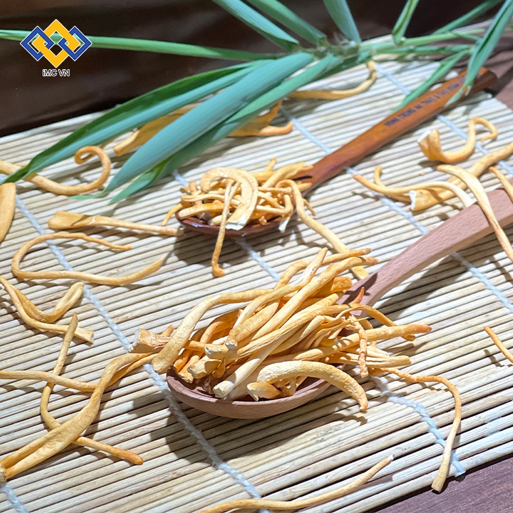 Đông trùng hạ thảo khô sấy thăng hoa cao cấp hộp 10g Vigor Toàn Tâm