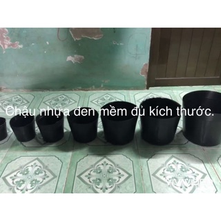Combo 5 chậu nhựa dẻo đen dày
