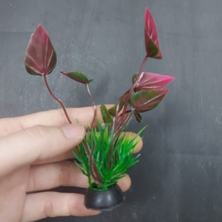 Cây cỏ nhựa
