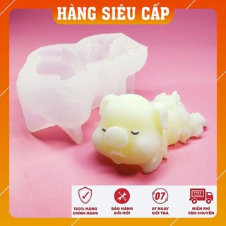 Khuôn silicon 4D heo nằm