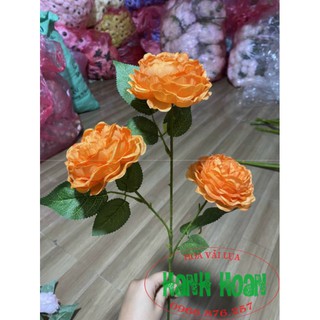 Combo 10 cành hoa trà Mộc Miên 3 bông lớn