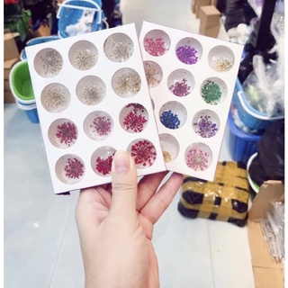 Set hoa khô nail trang trí móng 12 màu