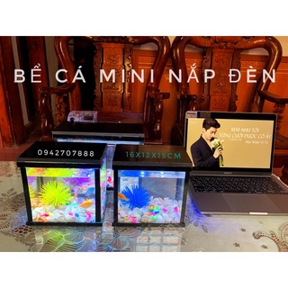 Bể cá chọi Bể cá mini để bàn Betta ( tặng thức ăn)