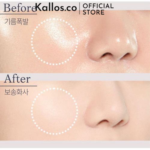 Phấn Phủ, Kem Lót Etude House Sebum Soak Pact, Powder, T-zone Base, Pore Primer, Zero Sebum Powder - Kallos Vietnam