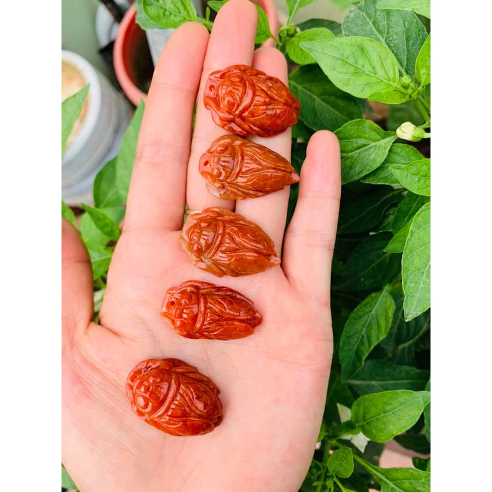 Ve sầu phong thủy cho bé