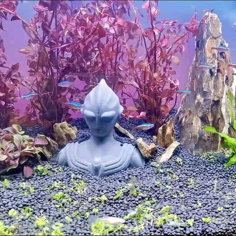 Trang Trí Hồ Cá Siêu Nhân Điện Quang