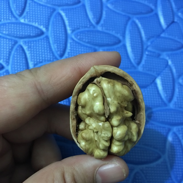 Óc chó -1kg