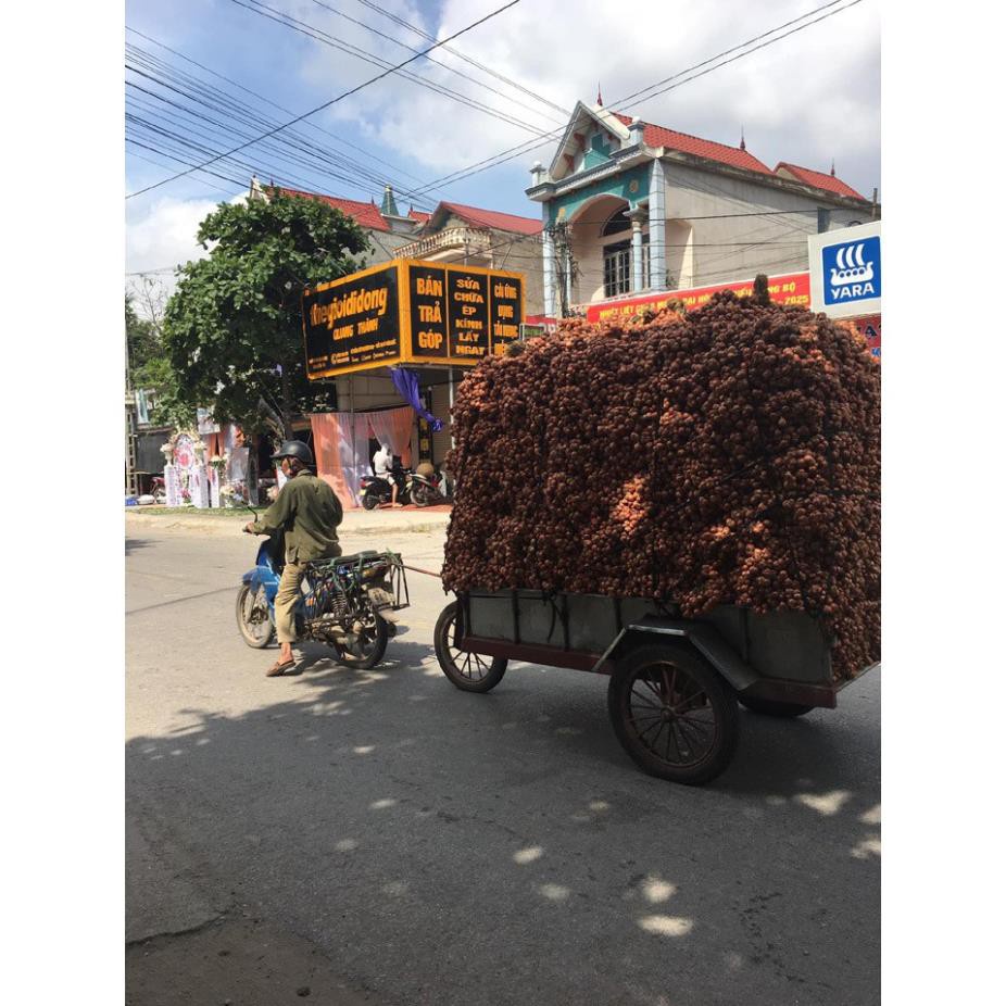 ⚡️ Hành khô Kinh Môn Hải Dương