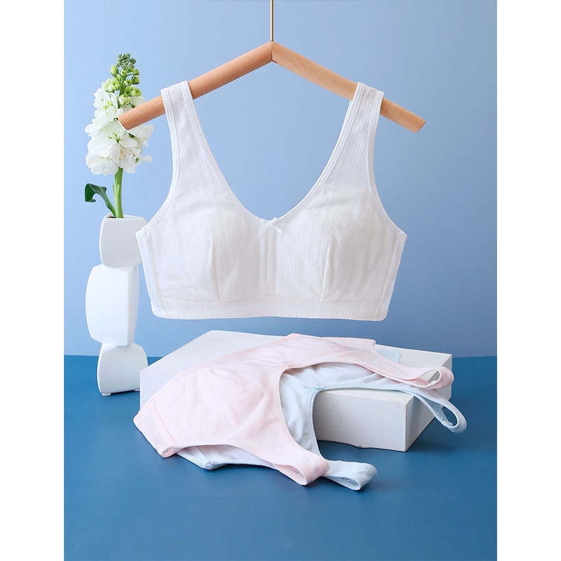 Mẫu Áo Lá Cotton Có Đệm Mút Cho Bé Gái Đi Học