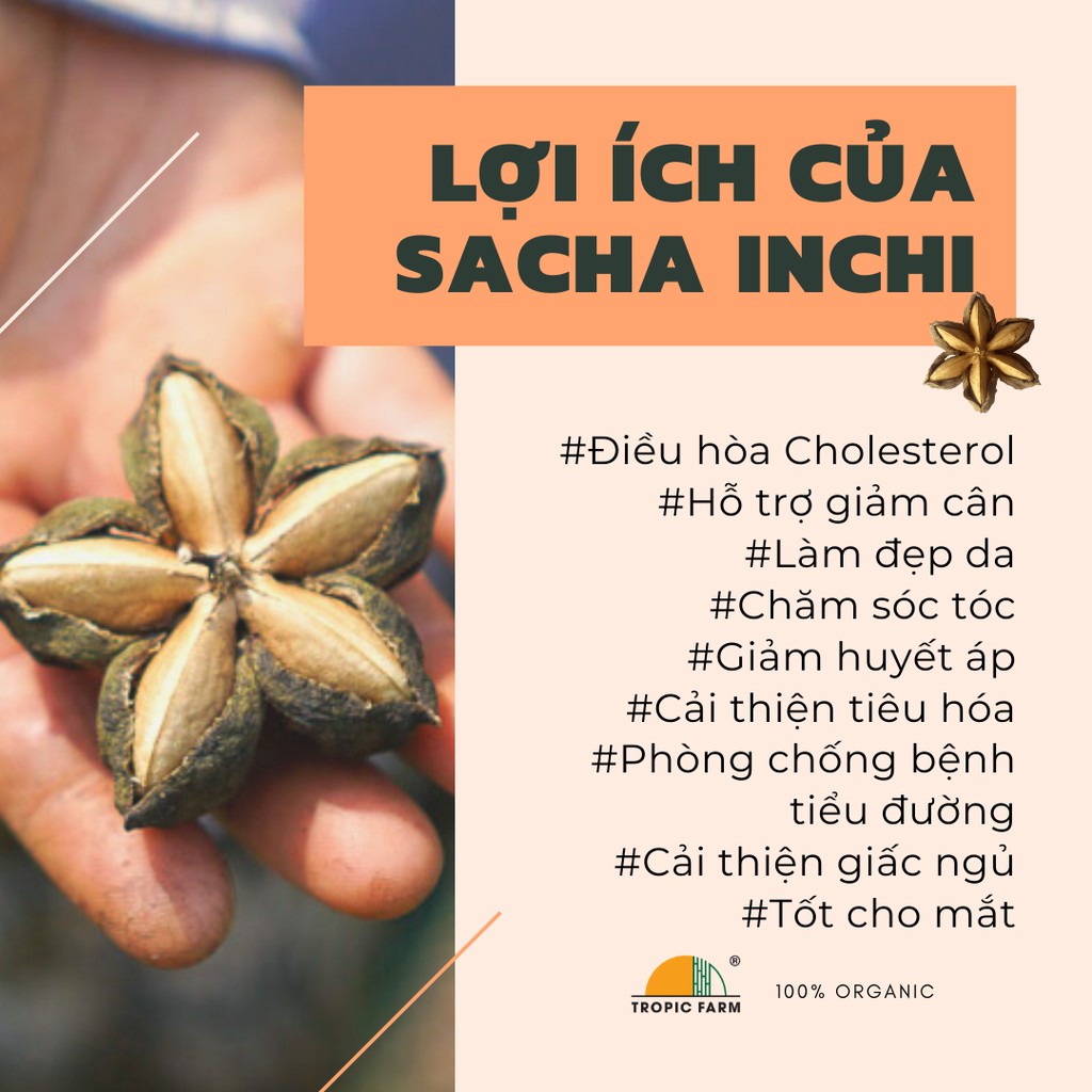 Hạt Sachi, hạt Sacha Inchi rang muối Omega snack chuẩn Organic (túi 60g) - Happy Life 4U