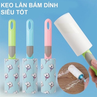 Cây lăn lông chó mèo.