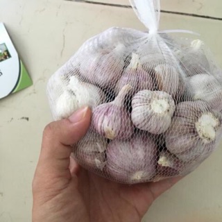 (Mã NSF02P125 giảm 25K) Tỏi tím nhánh to, Yên Châu Sơn La, túi lưới 1KG