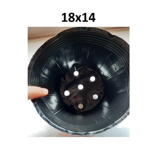 1kg bầu ươm cây 18-14