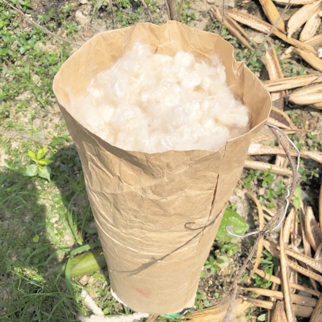 Bông Gòn Tự Nhiên 100% từ trái gòn 1KG