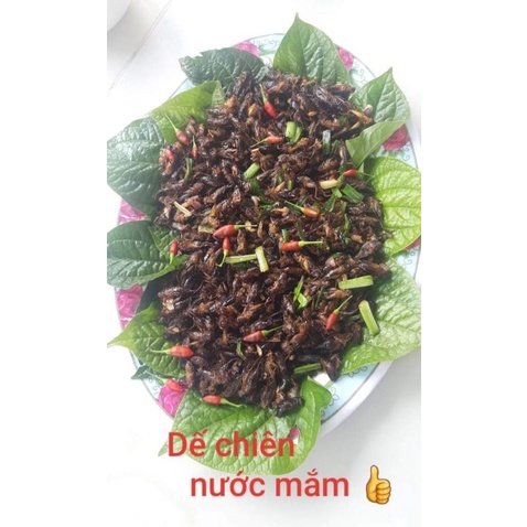 DẾ TRỨNG 500 GRAM NHẶT CÁNH SẲN  HÀNG TƯƠI NGON