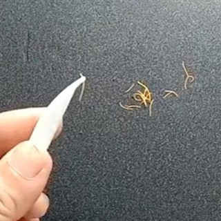 [Hiệu Quả-An Toàn-Tiết Kiệm] NHÍP GẮP SAFFRON (NHỤY HOA NGHỆ TÂY) NHỰA 9.5*0.7*0.7cm màu trắng/ xanh (saffron tweezers)