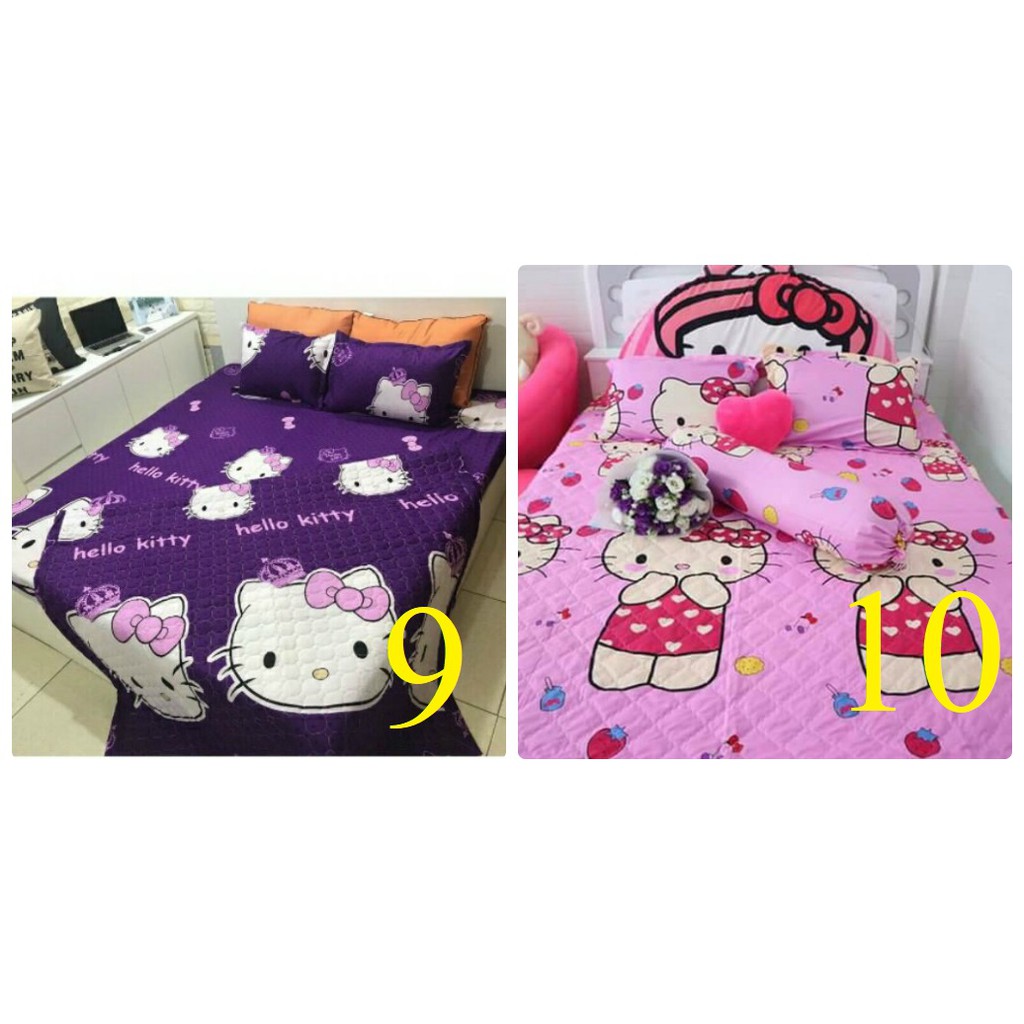 Set ga chun+ 2 vỏ gối + vỏ ôm