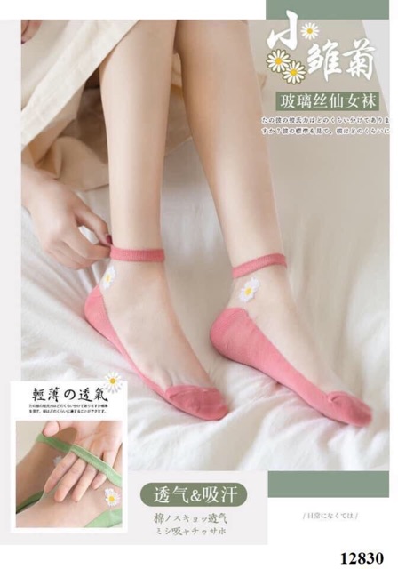 Vớ nữ hoa cúc - Tất lưới nữ