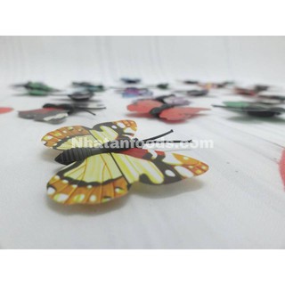 Bướm 3D trang trí bánh kem size lớn .