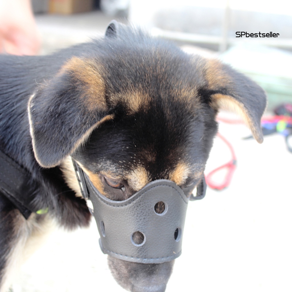 Rọ mõm chó bằng da giả có thể điều chỉnh