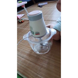 Máy xay thịt cá đa năng Bear cối thủy tinh 2 lít