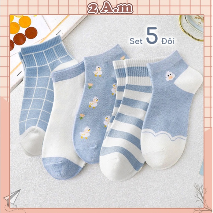 Vớ Nữ Màu Blue Cổ Ngắn - Tất Vớ Nữ Dễ Thương Thời Trang Hàn Quốc