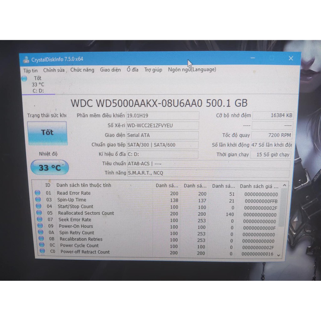 Ổ cứng máy tính - Western Tím -  500GB