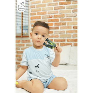 [LA POMME] BỘ CỘC BÉ TRAI (SS236, SS238, SS247)