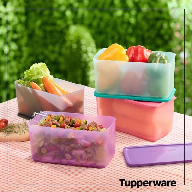 Hộp trữ mát TUPPERWARE funstatic 3.1L