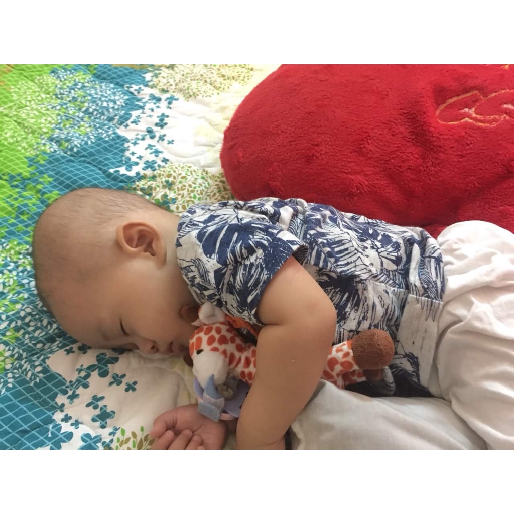 Thú bông hươu cao cổ gắn vào ti giả cho bé Tommy Baby