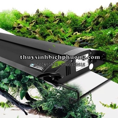 ĐÈN ODYSSEA 2 BÓNG T5H0 ÁNH SÁNG 10000k ÁNH SÁNG CHUYÊN ĐÈN HỒ CÁ THUỶ SINH