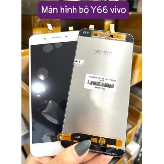 Màn hình bộ Y66 Vivo