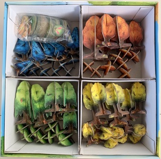 Board Game Photosynthesis