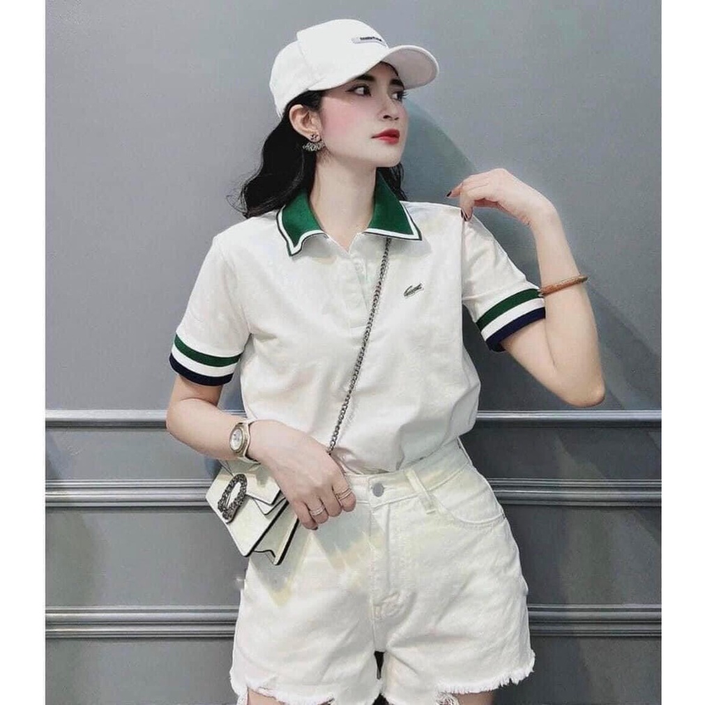 Áo thun có cổ polo cá sấu phối màu xanh trắng có size