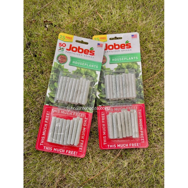 Phân sâu dạng que Jobes