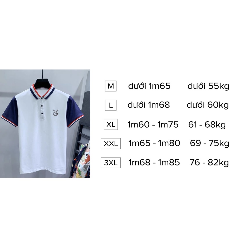 Áo polo nam P Man phong cách hiện đại, đường may tỉ mỉ, tinh tế  POLO_6816 | BigBuy360 - bigbuy360.vn