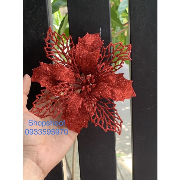 HOA TRẠNG NGUYÊN KÉP